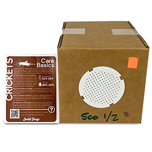 Joshs Frogs 1/2 Banded Crickets 500 Count