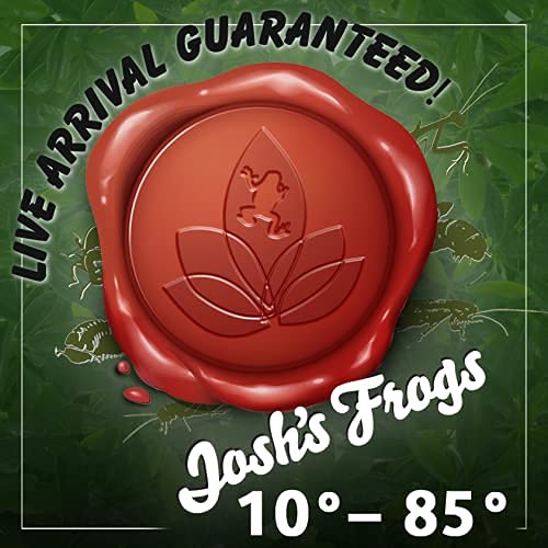 Joshs Frogs 1/2 Banded Crickets 500 Count