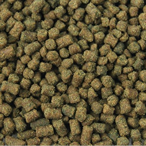 Joshs Frogs Dart Frog Tadpole Food 2 oz