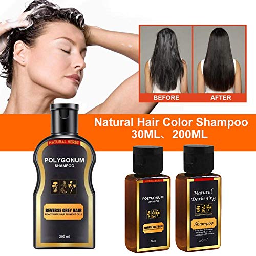 Natural Darkening Shampoo - 100 Natural Herbal - Sulfate Free - O...