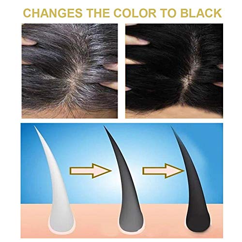 Natural Darkening Shampoo - 100 Natural Herbal - Sulfate Free - O...