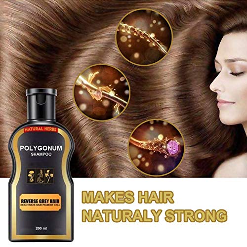 Natural Darkening Shampoo - 100 Natural Herbal - Sulfate Free - O...