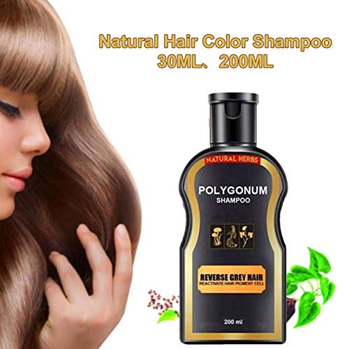 Natural Darkening Shampoo - 100 Natural Herbal - Sulfate Free - O...