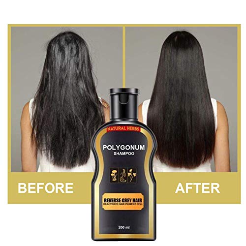 Natural Darkening Shampoo - 100 Natural Herbal - Sulfate Free - O...