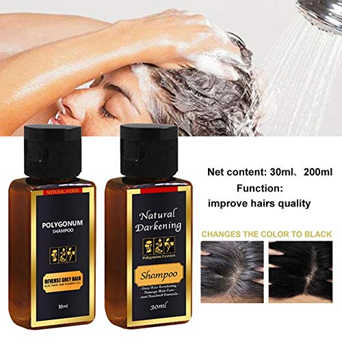 Natural Darkening Shampoo - 100 Natural Herbal - Sulfate Free - O...