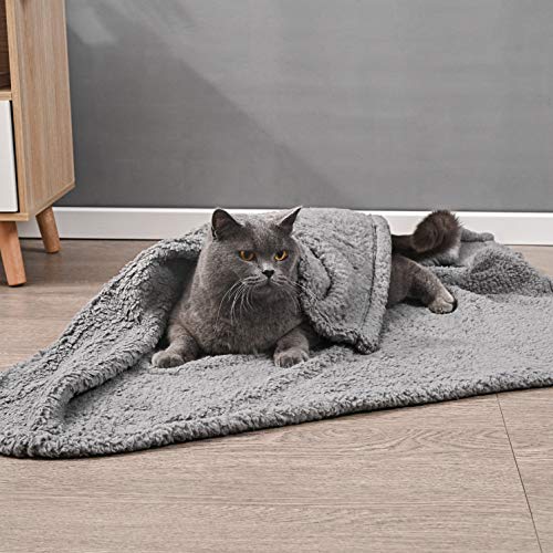 Juqiboom Premium Fluffy Fleece Dog Blanket, Soft and Warm Throw f...