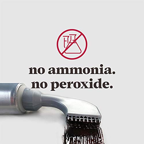 JUST FOR MEN AutoStop Foolproof Haircolor, Jet Black A-60 1 ea P...