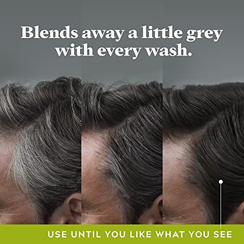 Just For Men Control GX Grey Reducing Shampoo, Gradually Colors H...
