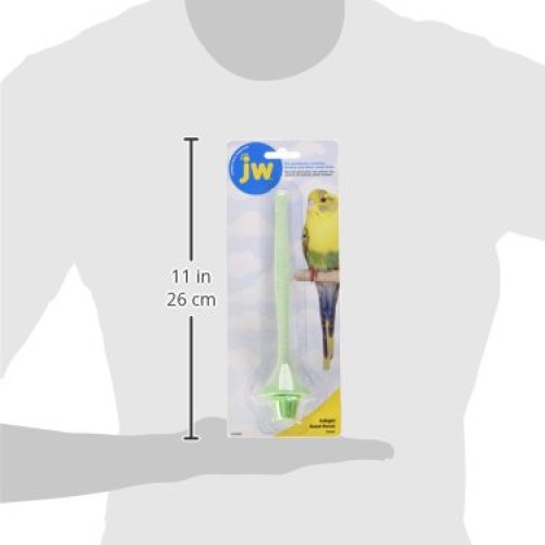 JW Pet Insight Sand Perch, Small, Assorted