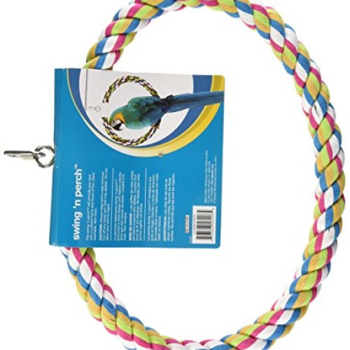 JW Pet Swing N Perch, Large