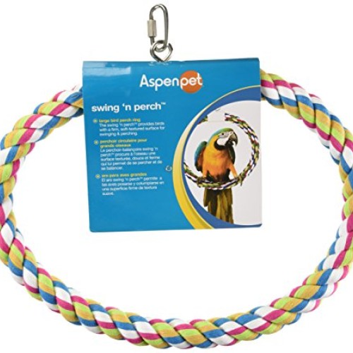JW Pet Swing N Perch, Large