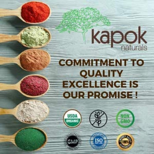 Kapok Naturals Chanca Piedra Kidney Stone Crusher. 500mg Stonebre...