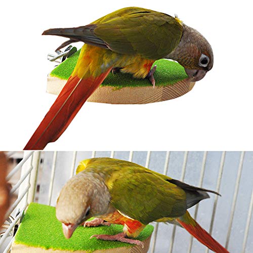 kathson Bird Perch Platform, Parrot Sanded Stand Wooden Corner Sh...