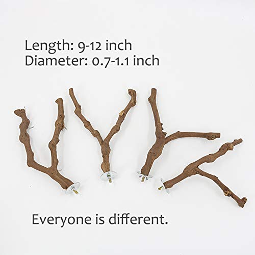 kathson Parrot Perch Stand Natural Wild Grape Stick Bird Cagestan...