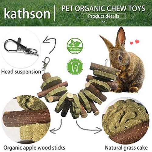kathson Rabbit Chew Toys, Small Animal Chew Treat Ball Carrot Toy...