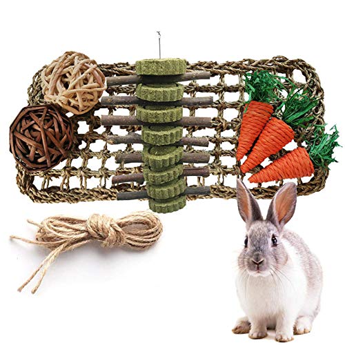 kathson Rabbit Chew Toys, Small Animal Chew Treat Ball Carrot Toy...