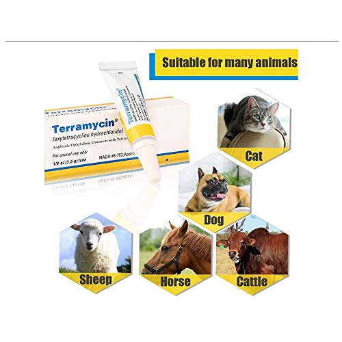Kimanli Pet Eye Health Ointment Drops Eye for Dogs 1/8 Oz Dogs 1...