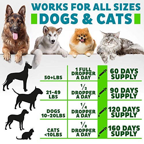 Hemp Oil for Dogs and Cats - 2000MG -100% Organic Pet Hemp Oil - ...