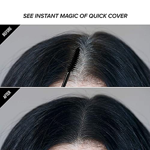 Kiss Colors Quick Cover Gray Hair Touch Up Brush Jet Black BGC04 ...