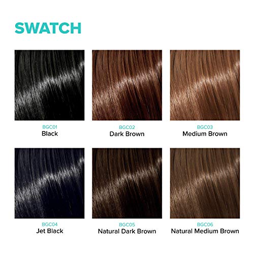 Kiss Colors Quick Cover Gray Hair Touch Up Brush Jet Black BGC04 ...