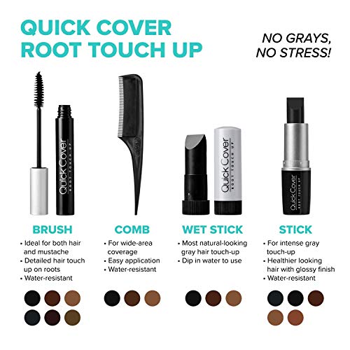 Kiss Colors Quick Cover Gray Hair Touch Up Brush Jet Black BGC04 ...