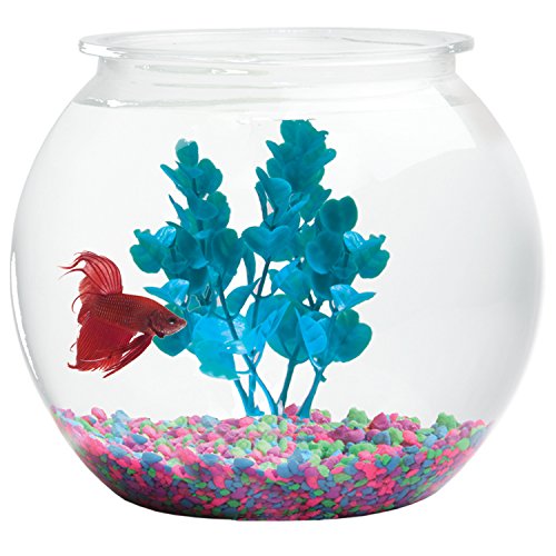 Koller Products 1.5-Gallon Fish Bowl