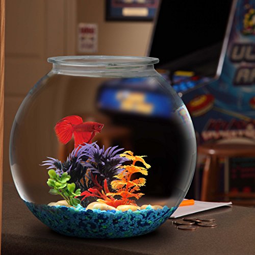 Koller Products 1.5-Gallon Fish Bowl