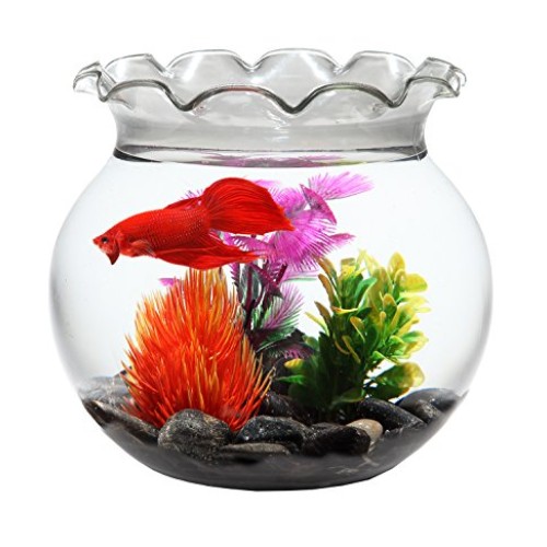 Koller Products 1 Gallon Fish Bowl - Impact-Resistant Plastic