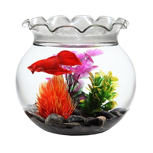 Koller Products 1 Gallon Fish Bowl - Impact-Resistant Plastic