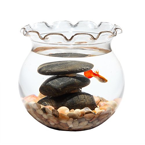 Koller Products 1 Gallon Fish Bowl - Impact-Resistant Plastic