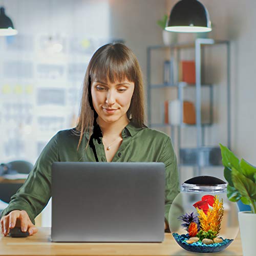 Koller Products 1-Gallon Fish Bowl with LED Lighting Multiple Co...