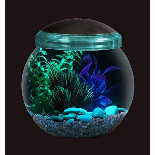 Koller Products 1-Gallon Fish Bowl with LED Lighting Multiple Co...