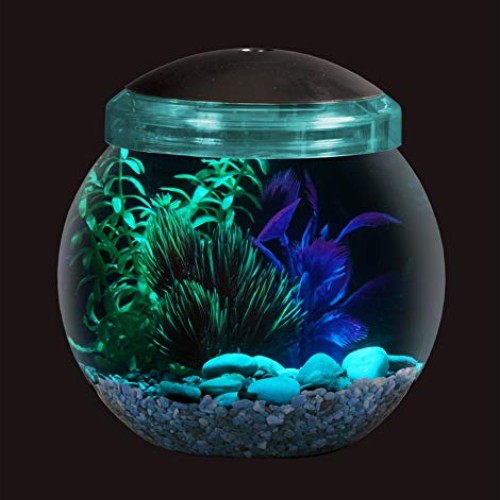 Koller Products 1-Gallon Fish Bowl with LED Lighting Multiple Co...