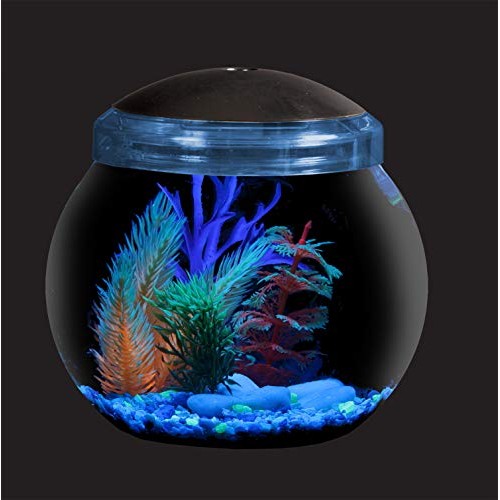 Koller Products 1-Gallon Fish Bowl with LED Lighting Multiple Co...
