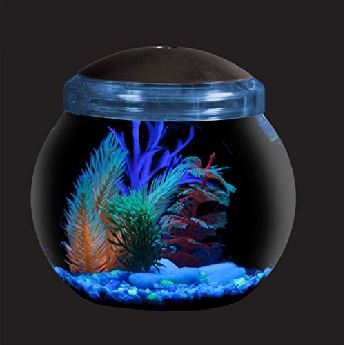 Koller Products 1-Gallon Fish Bowl with LED Lighting Multiple Co...