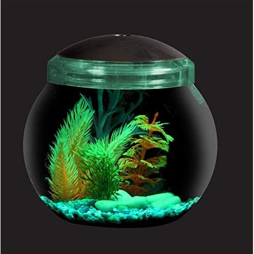 Koller Products 1-Gallon Fish Bowl with LED Lighting Multiple Co...