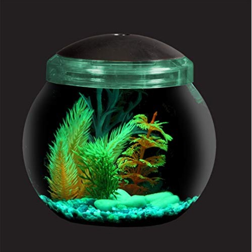 Koller Products 1-Gallon Fish Bowl with LED Lighting Multiple Co...
