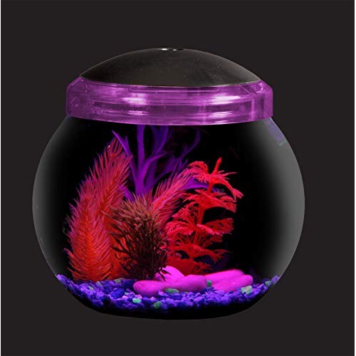 Koller Products 1-Gallon Fish Bowl with LED Lighting Multiple Co...