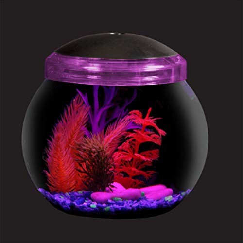 Koller Products 1-Gallon Fish Bowl with LED Lighting Multiple Co...