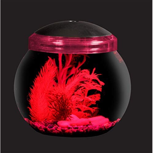 Koller Products 1-Gallon Fish Bowl with LED Lighting Multiple Co...