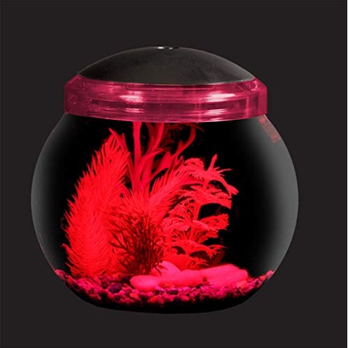 Koller Products 1-Gallon Fish Bowl with LED Lighting Multiple Co...