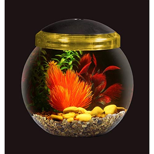 Koller Products 1-Gallon Fish Bowl with LED Lighting Multiple Co...