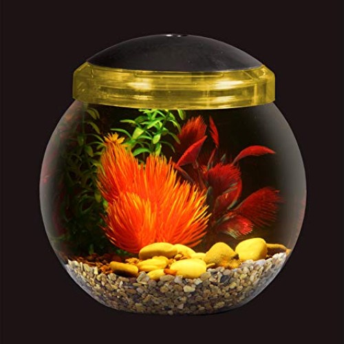 Koller Products 1-Gallon Fish Bowl with LED Lighting Multiple Co...