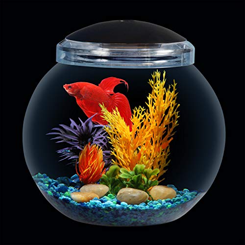 Koller Products 1-Gallon Fish Bowl with LED Lighting Multiple Co...