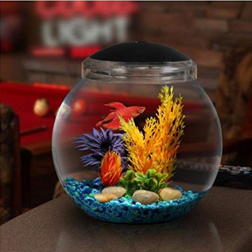 Koller Products 1-Gallon Fish Bowl with LED Lighting Multiple Co...