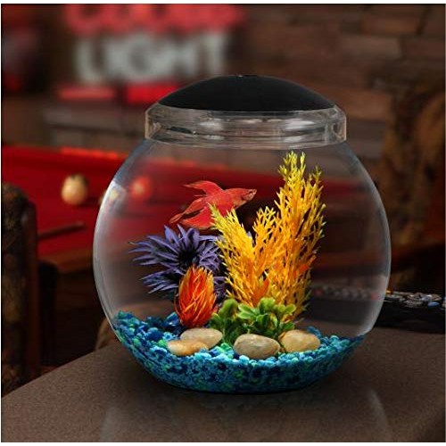 Koller Products 1-Gallon Fish Bowl with LED Lighting Multiple Co...