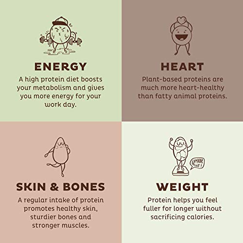 KOS Vegan Protein Powder - Delectable Chocolate Chip Mint Flavor ...