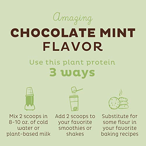 KOS Vegan Protein Powder - Delectable Chocolate Chip Mint Flavor ...