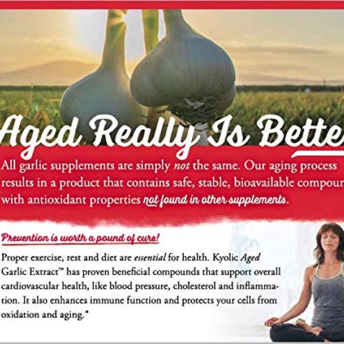 Kyolic Aged Garlic Extract Liquid Vegetarian Cardiovascular Suppl...