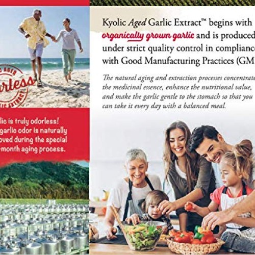Kyolic Aged Garlic Extract Liquid Vegetarian Cardiovascular Suppl...